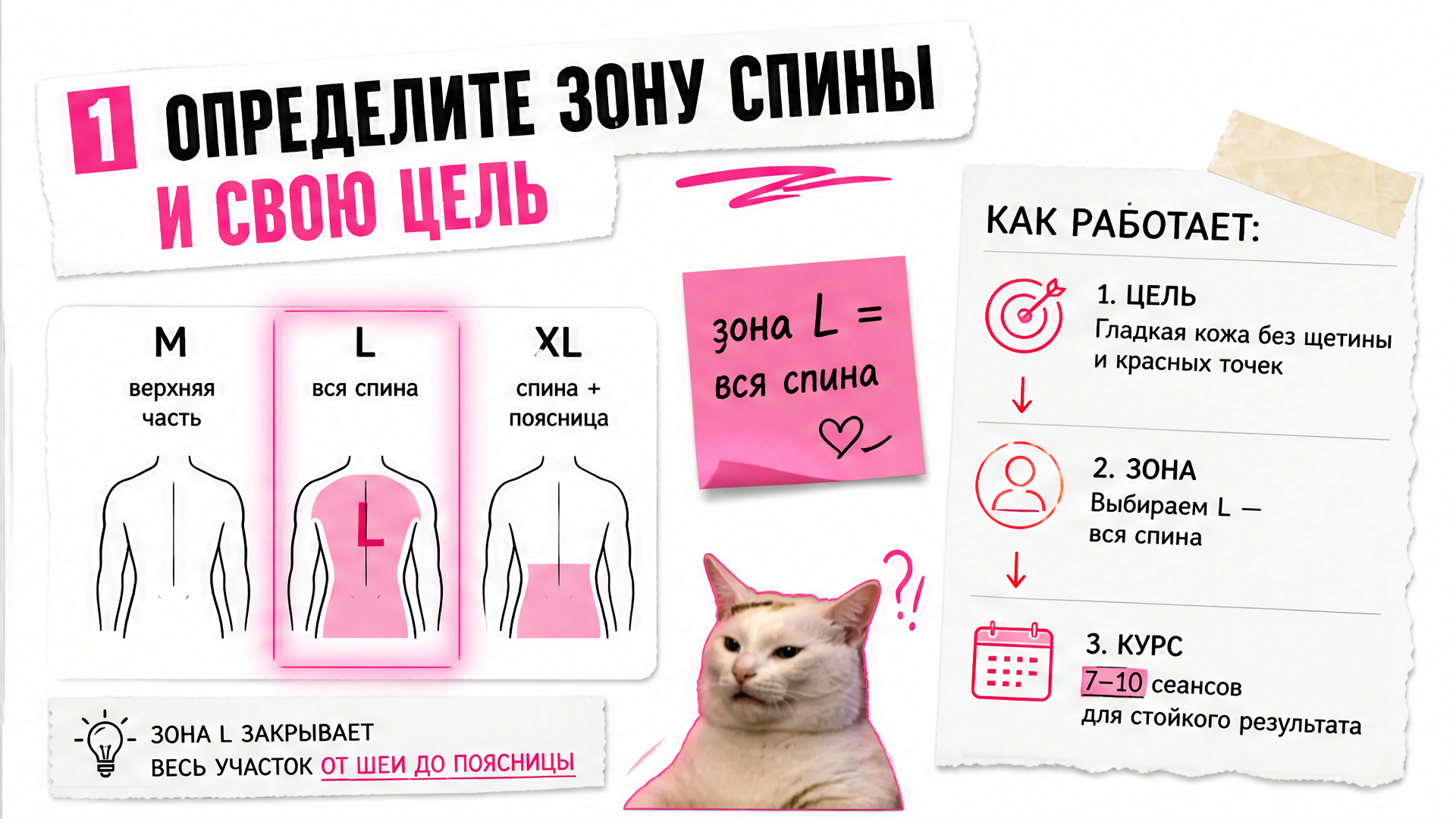 Схема зон спины M, L, XL и выбор цели эпиляции для мужчин