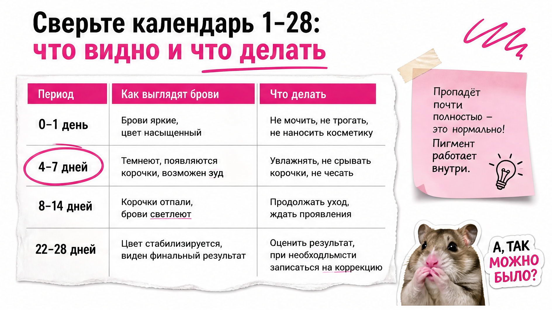 Таблица календаря заживления бровей по дням 1–28