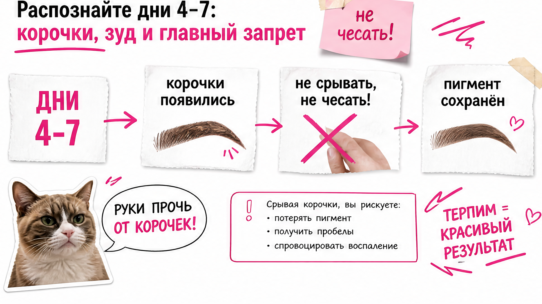 Схема этапа корочек на бровях дни 4–7