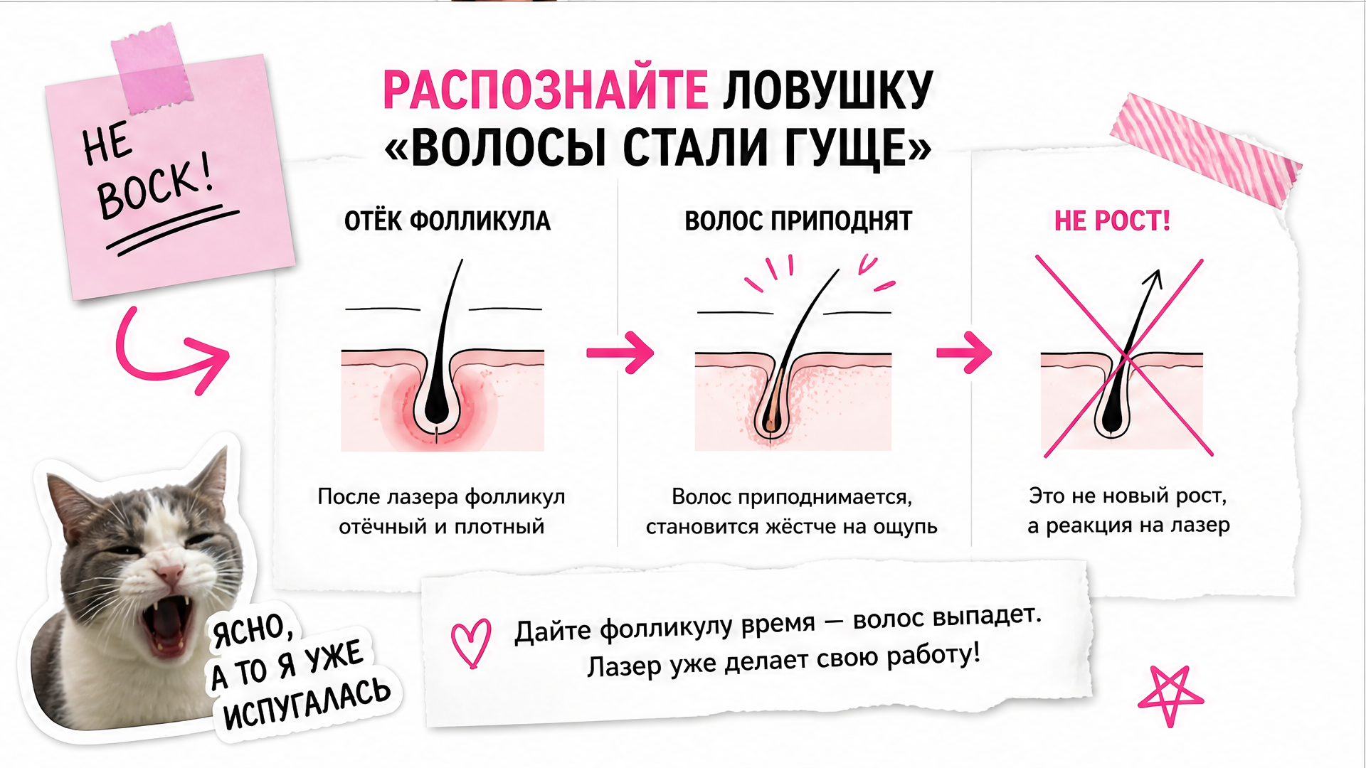 Схема ловушки «волосы гуще» на второй день после лазера