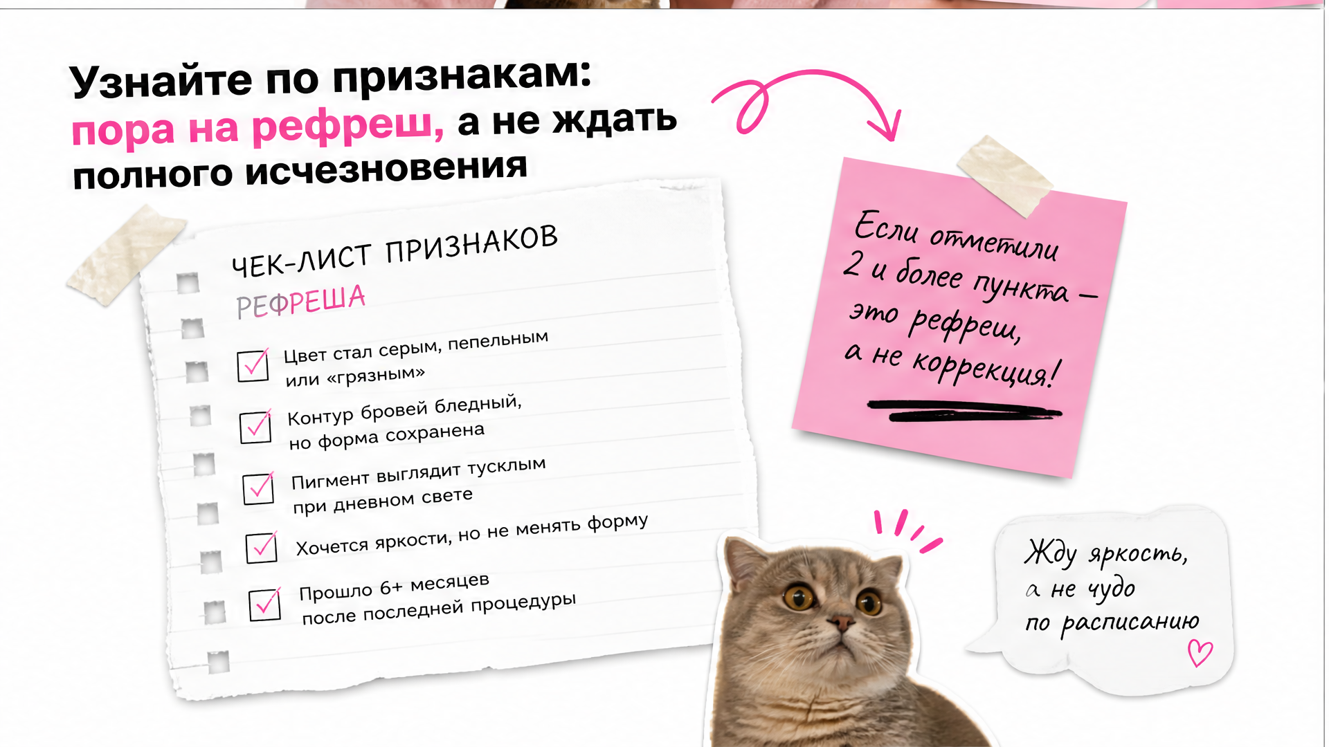 Признаки что пора на рефреш перманента