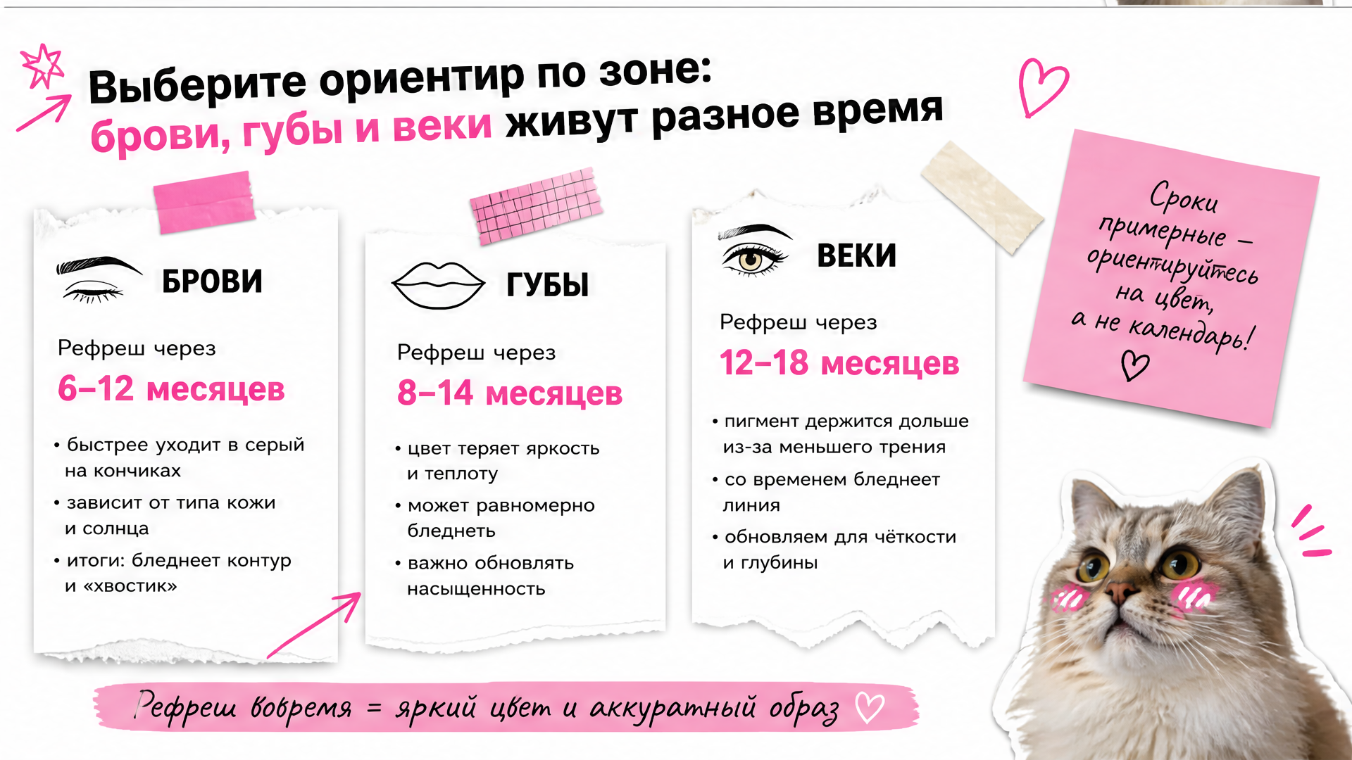 Сроки рефреша перманента по зонам