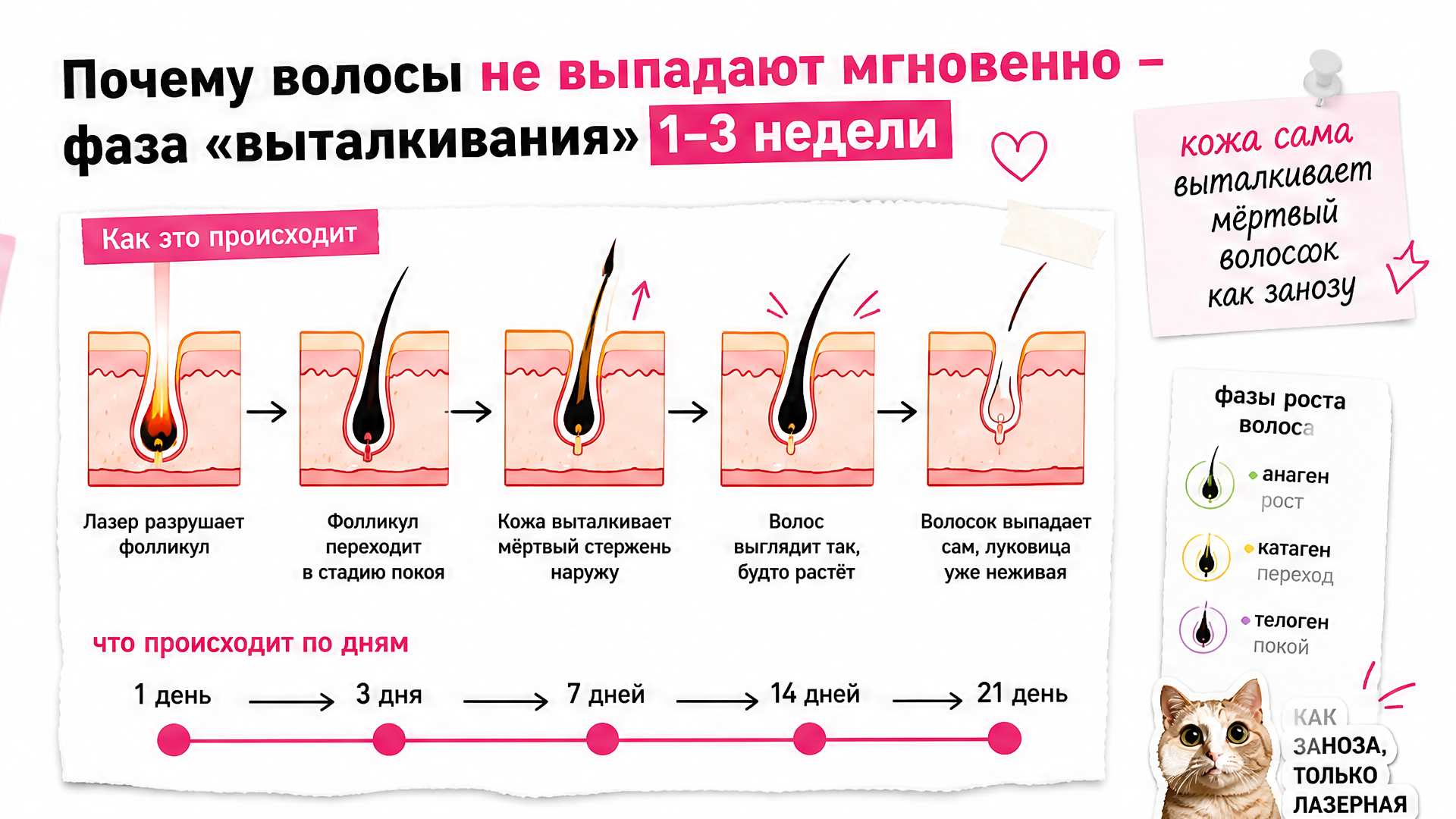 Схема ложного роста: мёртвый стержень выталкивается кожей в первые 1–3 недели после сеанса