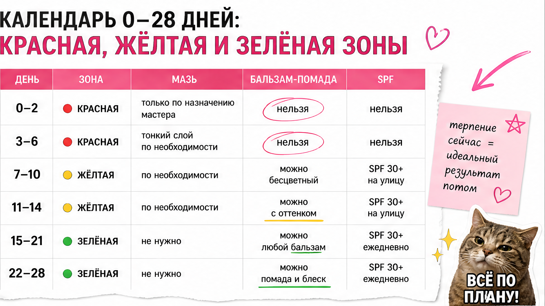 Таблица-календарь 0–28 дней возврата косметики после перманента губ