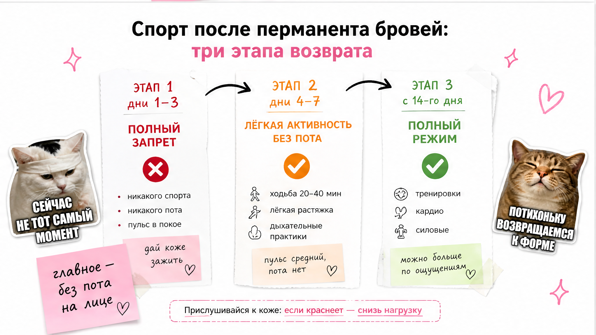 Схема трёх этапов возврата спорта после перманента бровей: от полного запрета к тренировкам