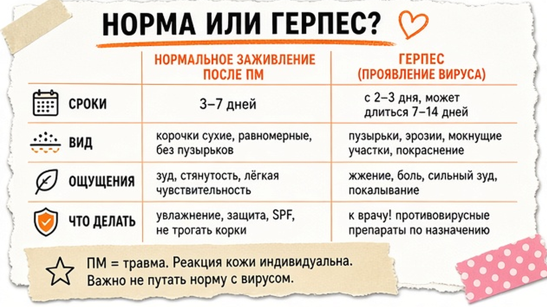 Сравнение: равномерные корочки PMU губ и локальные пузырьки герпеса