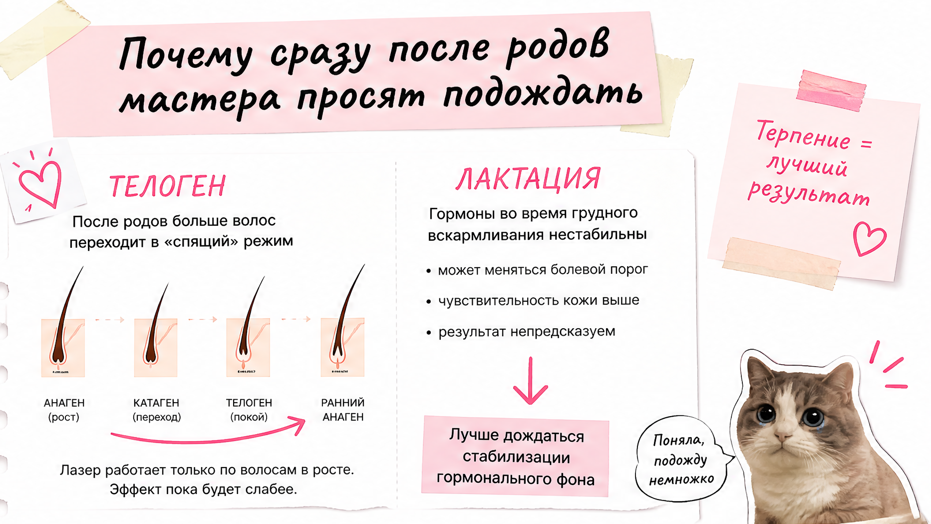 Гормоны после родов и фазы роста волос — телоген и лактация