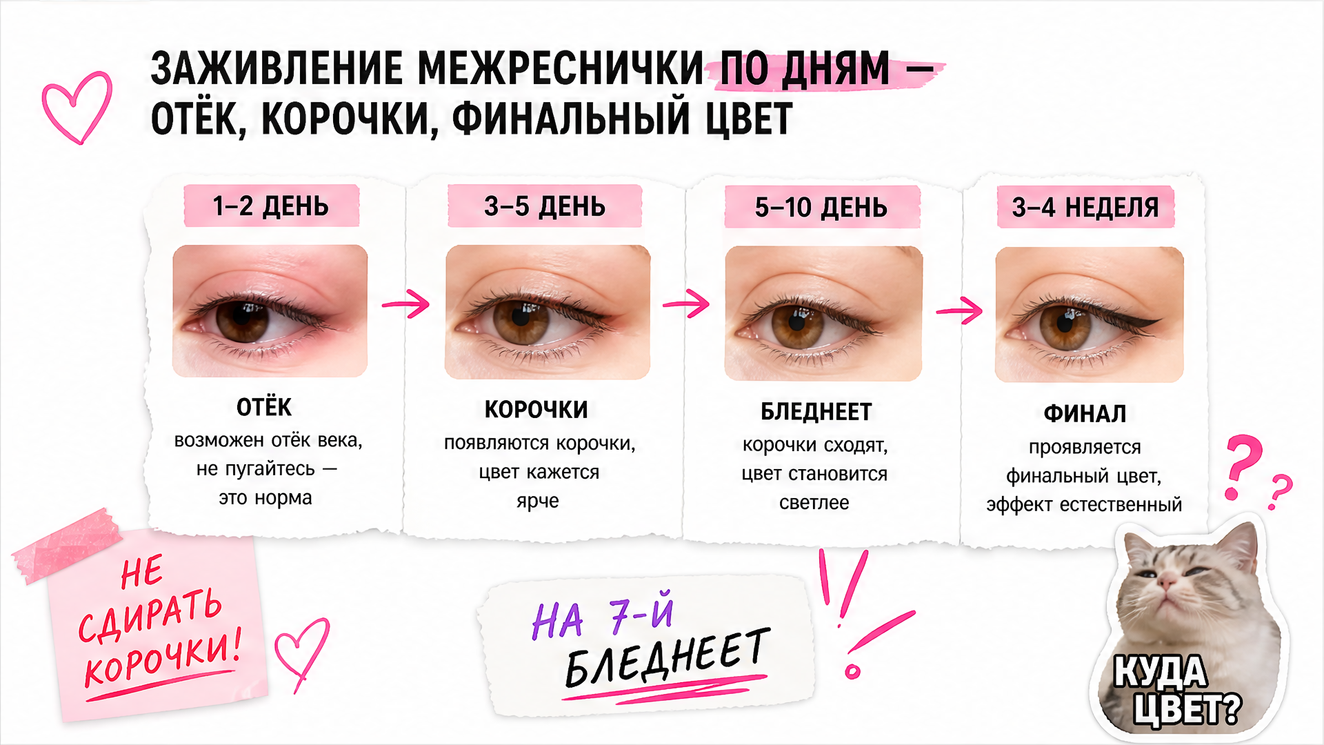 Дневник заживления межреснички по дням