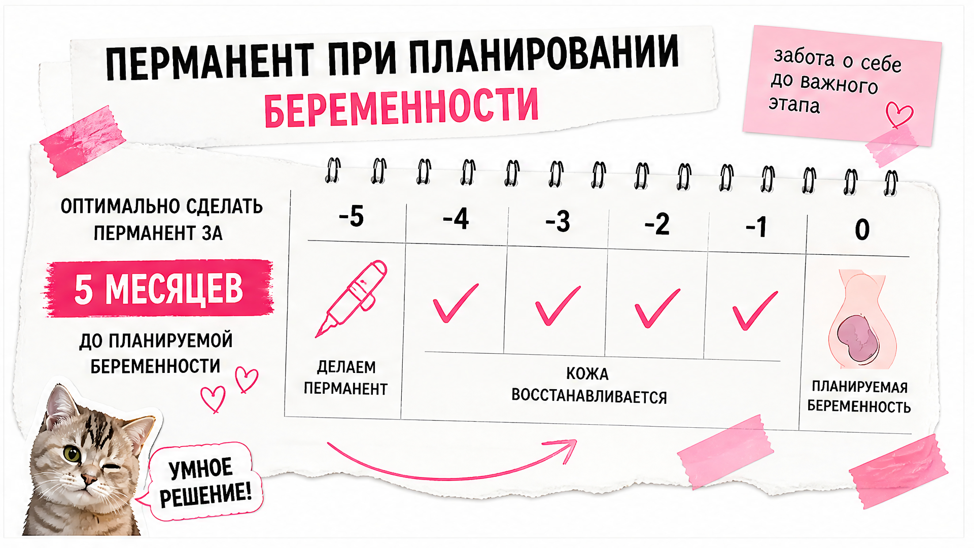 Таймлайн PMU до зачатия — консультация, сеанс, коррекция