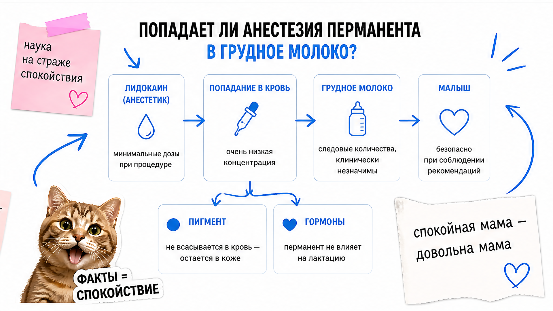 Попадает ли анестезия перманента в грудное молоко