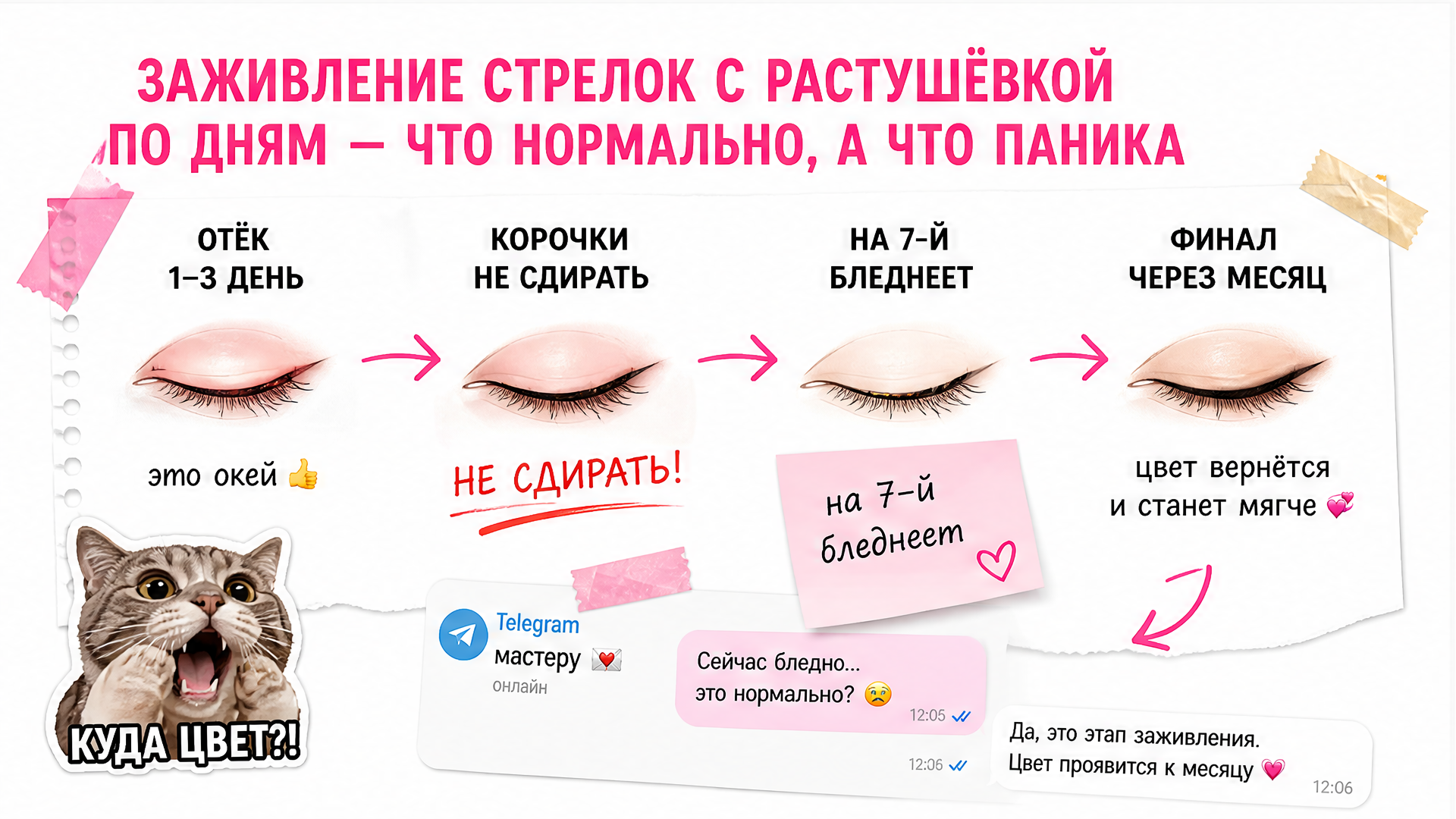 Дневник заживления стрелки с растушёвкой по дням