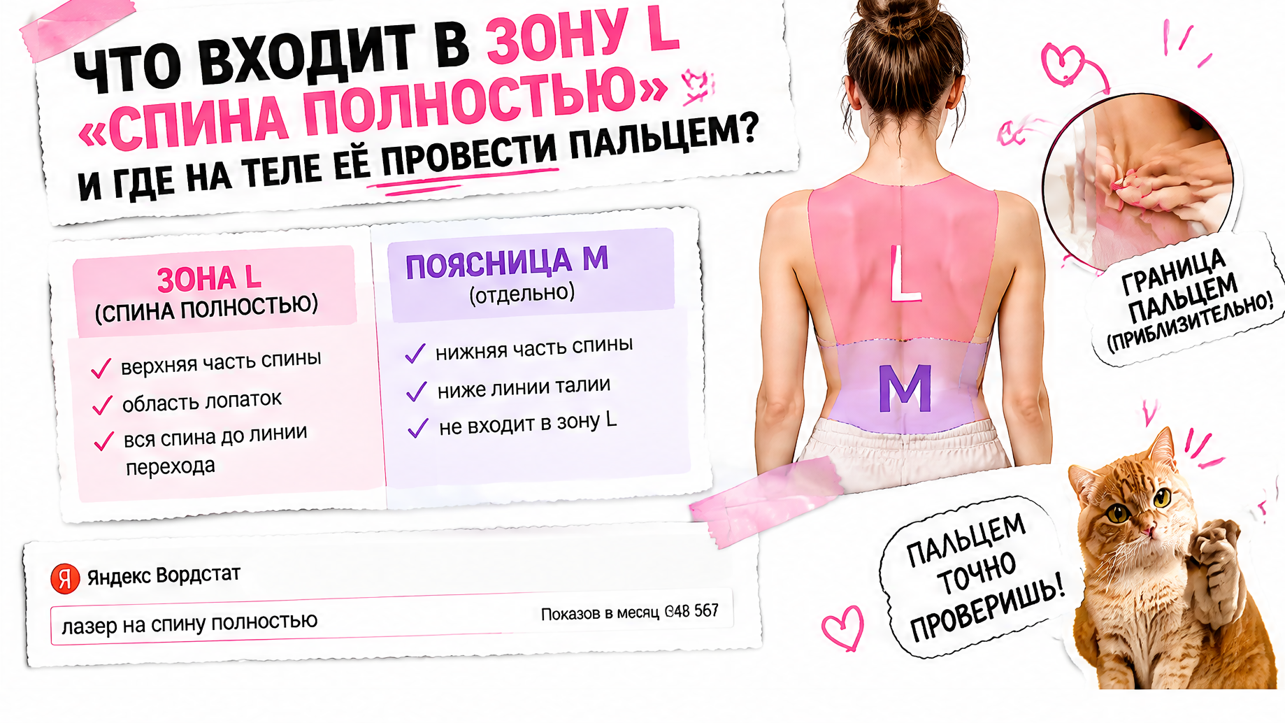 Сравнение зоны L спины и поясницы M
